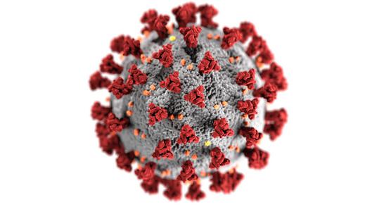 Bild des Corona-Virus